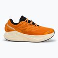 Кросівки для бігу чоловічі Salomon Aero Glide 3 turmeric/white/black 2