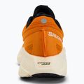Кросівки для бігу чоловічі Salomon Aero Glide 3 turmeric/white/black 6