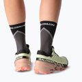 Жіночі бігові кросівки Salomon Speedcross 6 GTX lime cream/mahogany rose/black 8