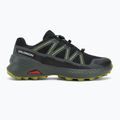 Кросівки для бігу чоловічі Salomon Speedcross Peak GTX black/urban chic/dark citron 2