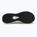 Кросівки для бігу чоловічі Salomon Alphaglide black/phantom/icicle 4
