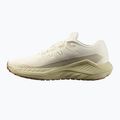 Кросівки для бігу чоловічі Salomon Drx Defy GRVL vanilla ice/green haze/white pepper 9