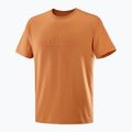 Футболка чоловіча Salomon Big Logo Tee sierra 4