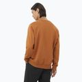 Кофта чоловіча Salomon Logo Crewneck sierra 2