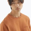 Кофта чоловіча Salomon Logo Crewneck sierra 3