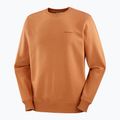 Кофта чоловіча Salomon Logo Crewneck sierra 5