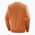 Кофта чоловіча Salomon Logo Crewneck sierra 6