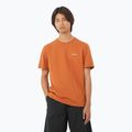 Футболка чоловіча Salomon Logo Tee sierra