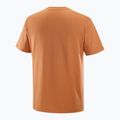 Футболка чоловіча Salomon Logo Tee sierra 5
