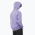 Кофта чоловіча Salomon Logo Hoodie violet tulip 2