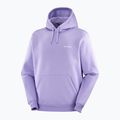 Кофта чоловіча Salomon Logo Hoodie violet tulip 3