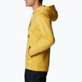 Кофта трекінгова чоловіча Columbia Trek Hoodie golden nugget/csc stacked graphic 4