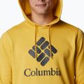 Кофта трекінгова чоловіча Columbia Trek Hoodie golden nugget/csc stacked graphic 5