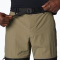 Шорти трекінгові чоловічі Columbia Summerdry Belted stone green/black 4