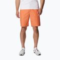 Шорти трекінгові чоловічі Columbia Washed Out desert orange