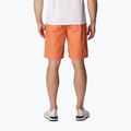 Шорти трекінгові чоловічі Columbia Washed Out desert orange 2