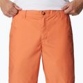 Шорти трекінгові чоловічі Columbia Washed Out desert orange 4