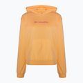 Кофта трекінгова жіноча Columbia Logo III French Terry peach wild geranium 5
