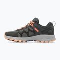 Взуття трекінгове жіноче Columbia Peakfreak II ti grey steel/lychee 13