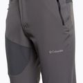 Штани трекінгові чоловічі Columbia Triple Canyon II EU city grey 10