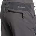 Штани трекінгові чоловічі Columbia Triple Canyon II EU city grey 11
