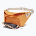 Сумка-бананка Columbia Zigzag II Hip Pack 1 л sunstone/ shark 3