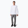 Кофта чоловіча Columbia Explorers Canyon white / torn sunscape 2