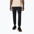 Штани трекінгові чоловічі Columbia Hike Jogger II black