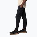 Штани трекінгові чоловічі Columbia Hike Jogger II black 3