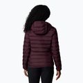 Пуховик жіночий Columbia Lake 22 II Down Hooded moonvista 3