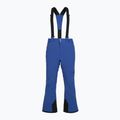 Чоловічі гірськолижні штани Columbia Cirque Bowl гірські сині 10