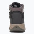 Жіночі трекінгові черевики Columbia Newton Ridge Plus Wp Amped stratus/canyon rose 6