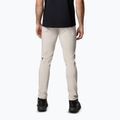 Штани трекінгові чоловічі Columbia Titan Pass Pant II dark stone 2