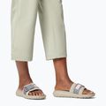Шльопанці жіночі Columbia Peakfreak Roam grey green/ti grey steel 10