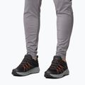 Жіночі туристичні черевики Columbia Peakfreak Roam black/red quartz 10