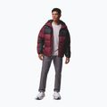 Куртка утеплена чоловіча Columbia Pike Lake II Hooded rich wine/black 2