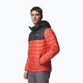 Куртка чоловіча Columbia Powder Lite II Hooded zing/shark 4