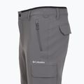Чоловічі туристичні штани Columbia Tech Trail Utility Winter city grey 13