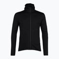 Кофта лижна чоловіча icebreaker Merino 560 Realfleece Elemental II black