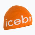 Шапка зимова icebreaker Merino Icebreaker Beanie earth/ecru hthr 6