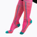 Шкарпетки лижні  чоловічі icebreaker Ski+ Medium OTC tempo/flux green/earth 4