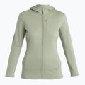 Льодохідна жіноча трекінгова куртка Merino 260 Quantum IV Zip Hoodie лишайник 7