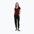 Футболка трекінгова жіноча icebreaker Tech Lite II Scoop Native Ferns cherry/aop 3