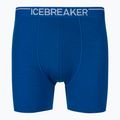 Термобоксери чоловічі icebreaker Anatomica lazurite