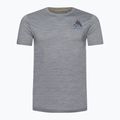 Футболка трекінгова чоловіча Smartwool Wilderness Summit Graphic Tee світло-сіра SW016673545 4