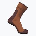 Шкарпетки трекінгові жіночі icebreaker Merino Hike+ Medium Crew dusty clay/carob 2