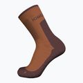 Шкарпетки трекінгові жіночі icebreaker Merino Hike+ Medium Crew dusty clay/carob 3