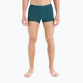 Термобоксери чоловічі icebreaker Anatomica Cool-Lite greenglory 4