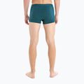 Термобоксери чоловічі icebreaker Anatomica Cool-Lite greenglory 5
