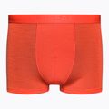 Термобоксери чоловічі icebreaker Anatomica Cool-Lite red